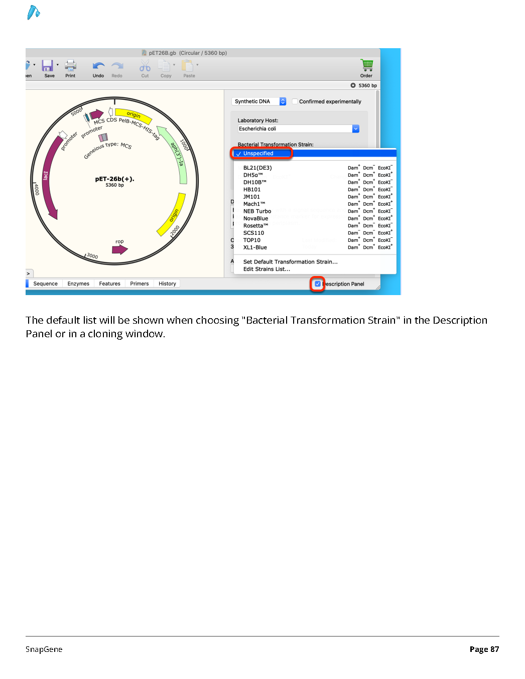 ../_images/SnapGene_页面_087.png