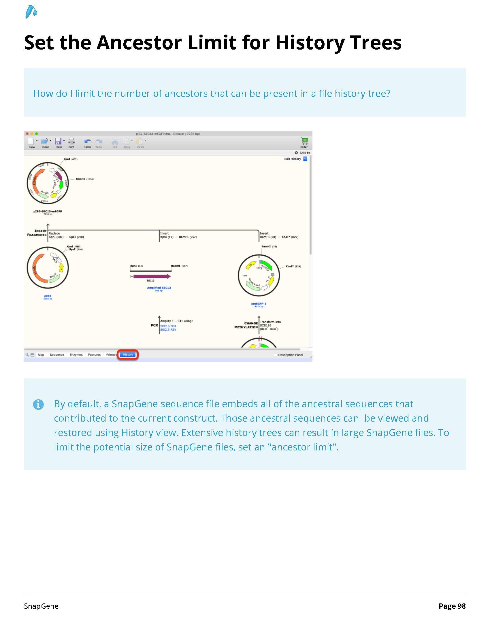 ../_images/SnapGene_页面_098.png