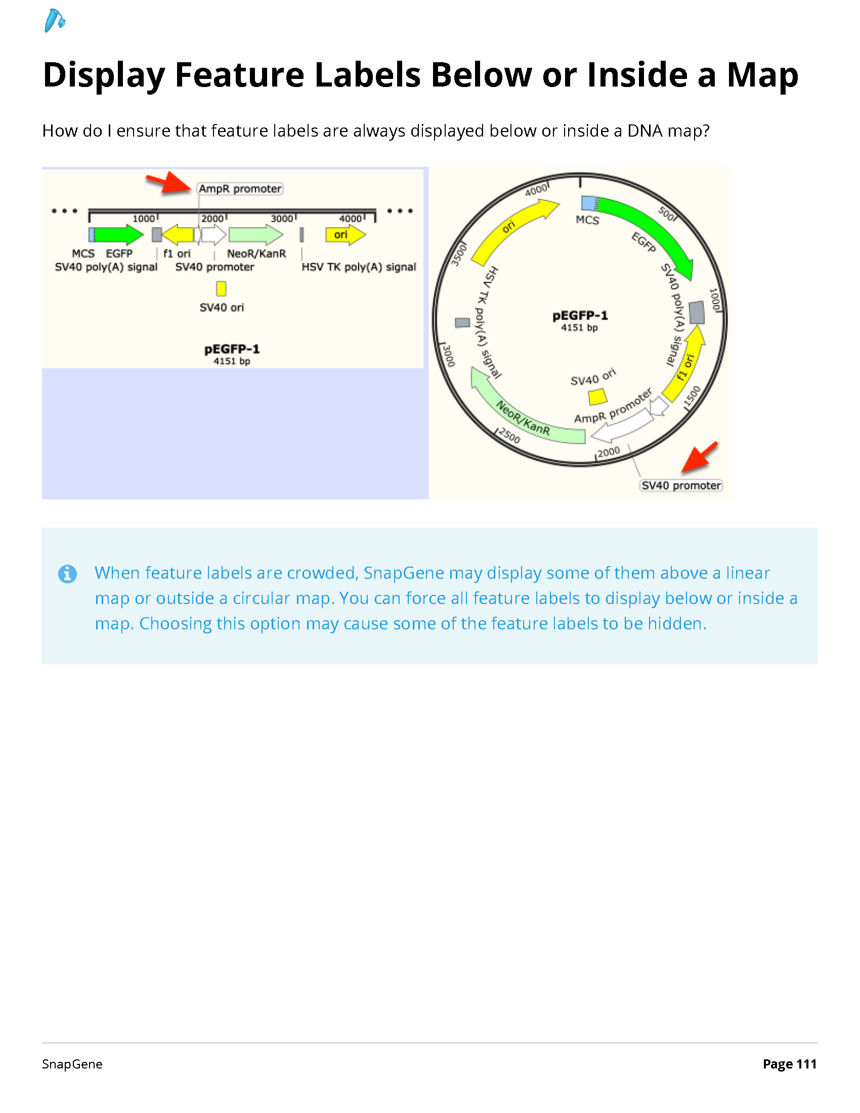 ../_images/SnapGene_页面_111.png