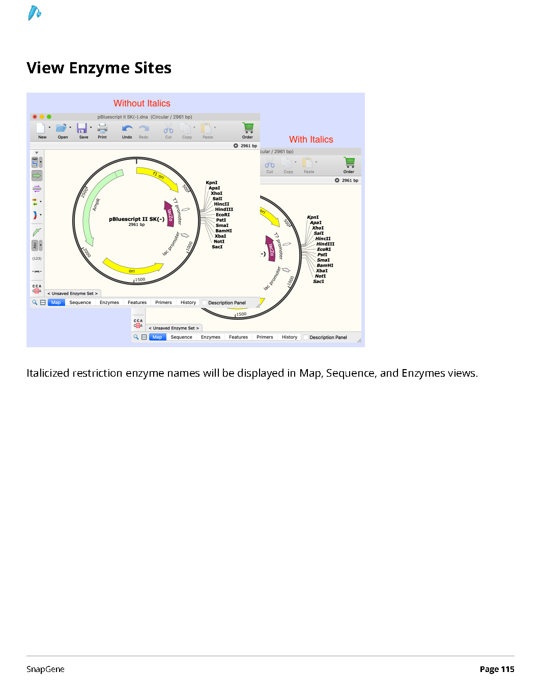 ../_images/SnapGene_页面_115.png