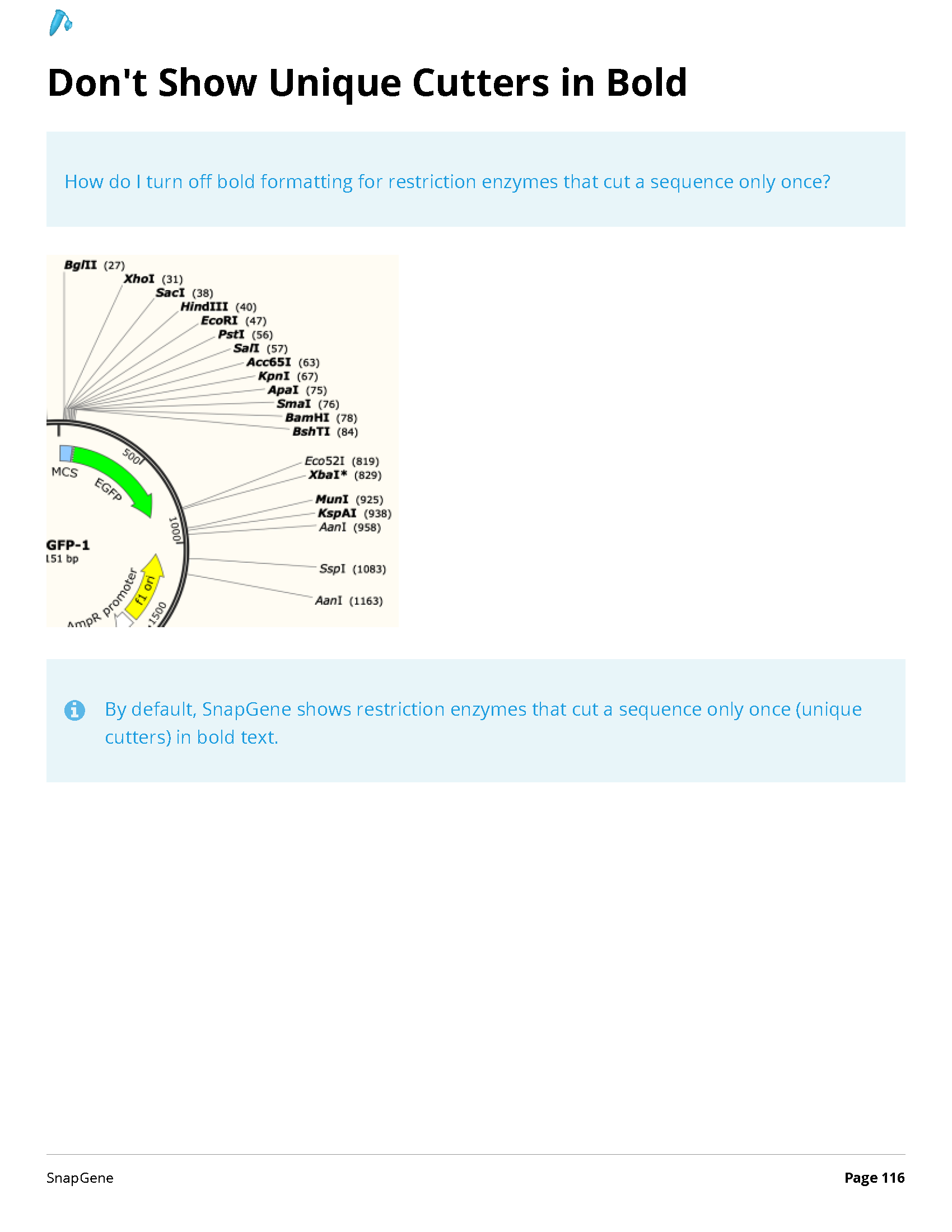 ../_images/SnapGene_页面_116.png