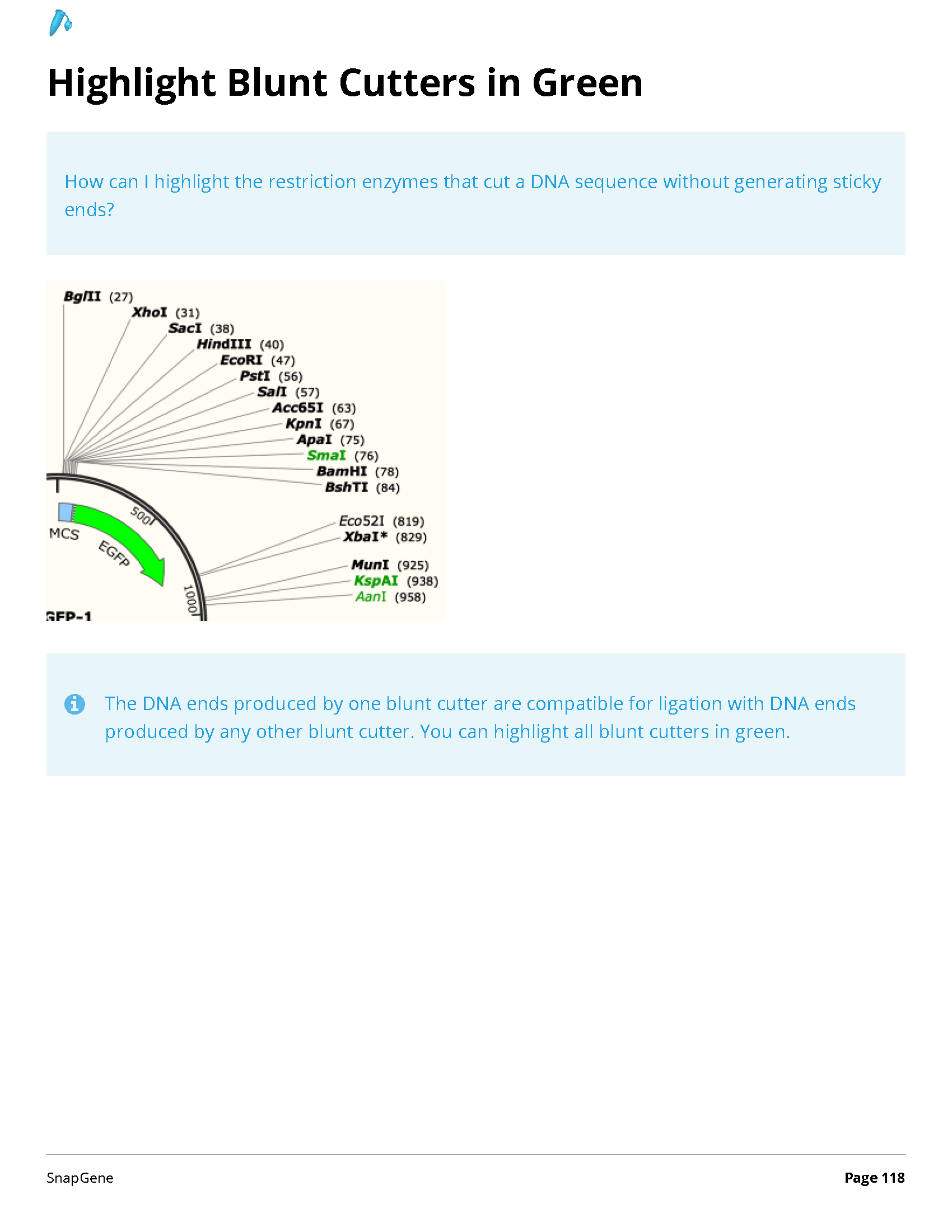 ../_images/SnapGene_页面_118.png