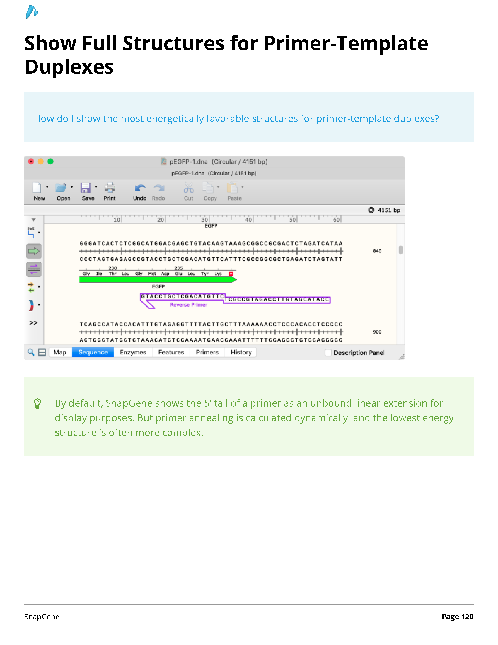 ../_images/SnapGene_页面_120.png