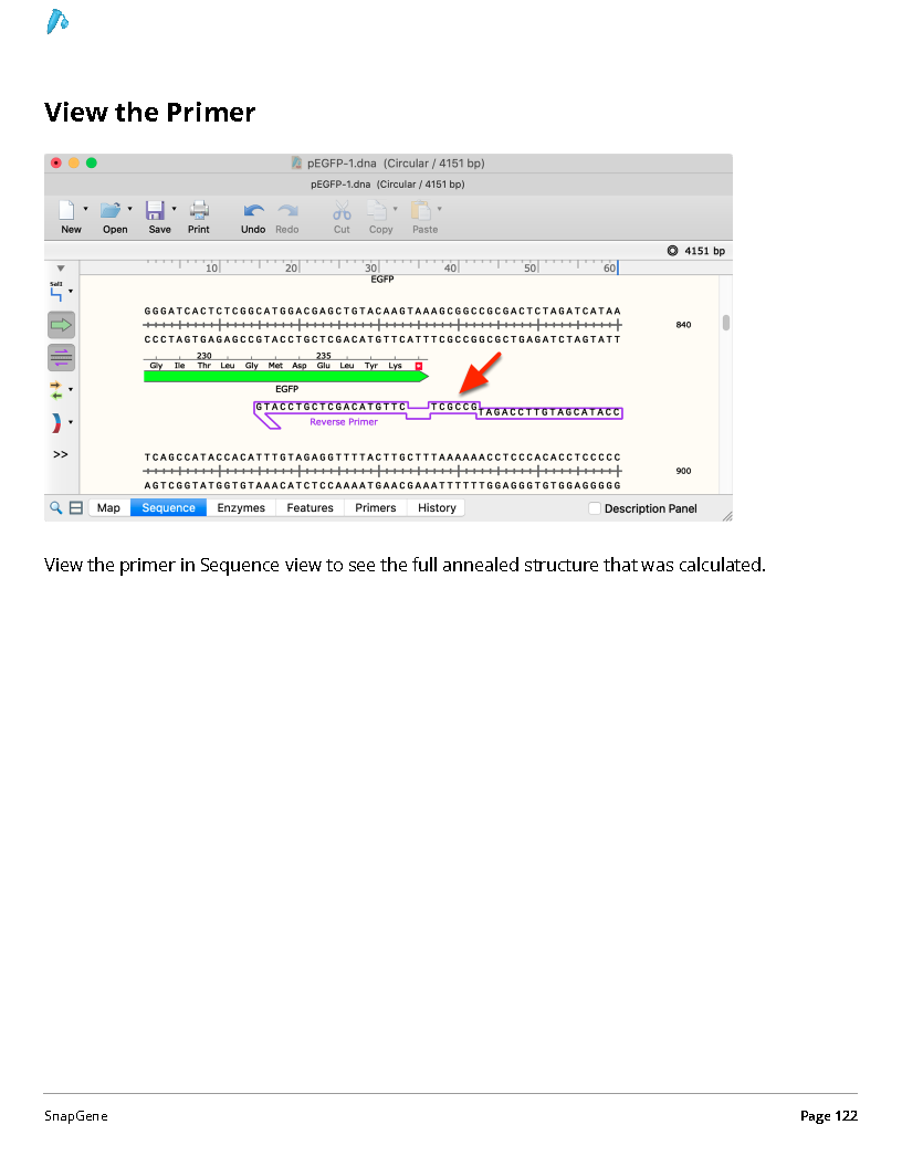 ../_images/SnapGene_页面_122.png