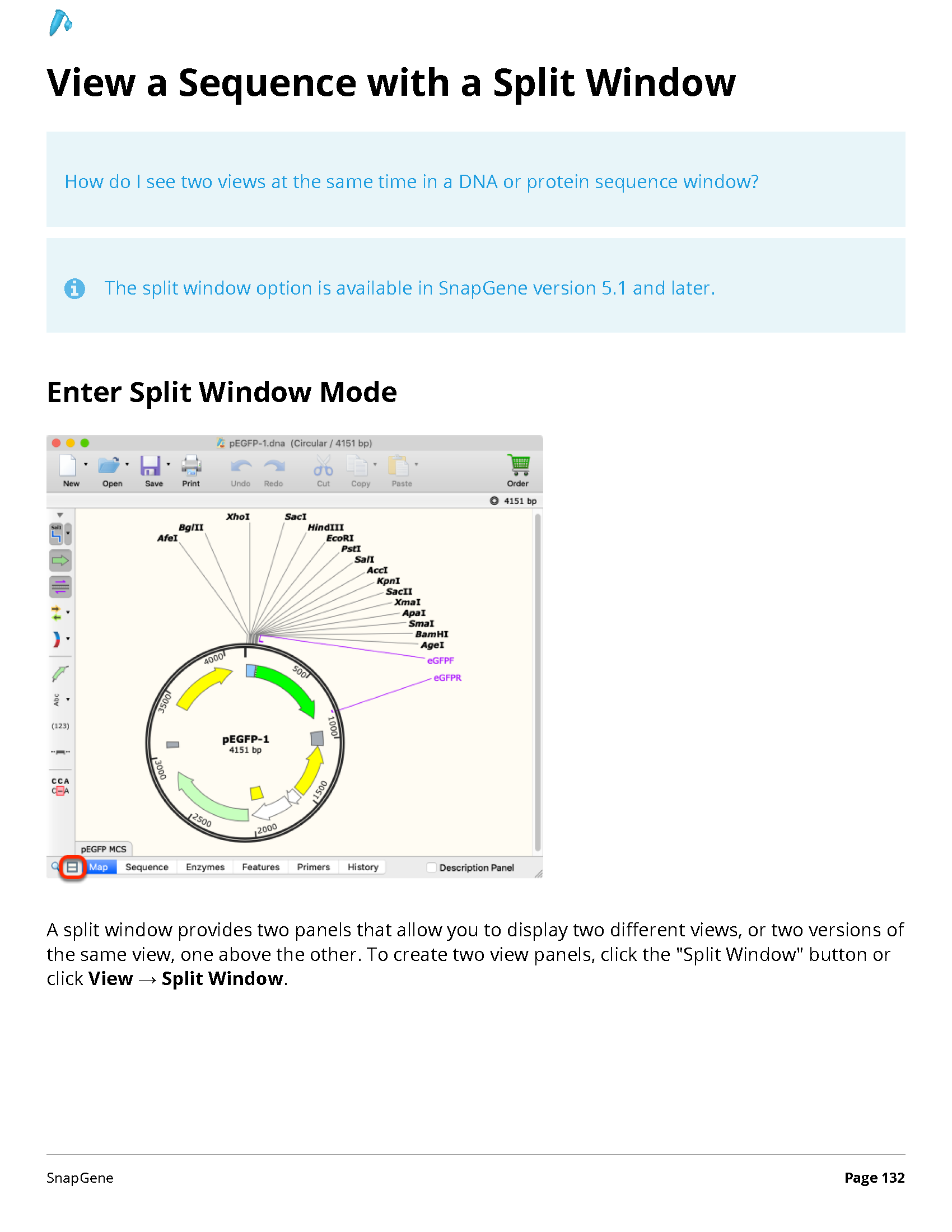 ../_images/SnapGene_页面_132.png