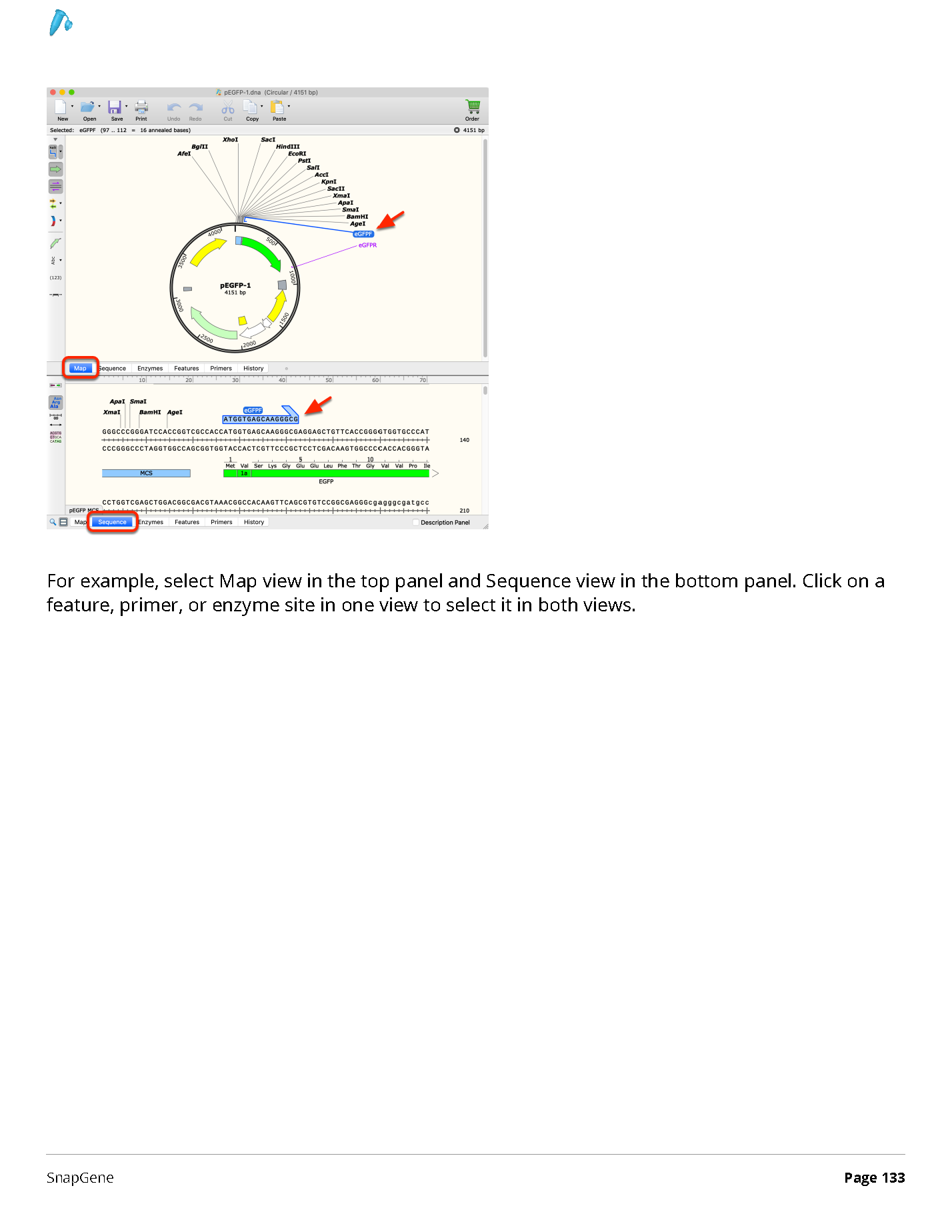 ../_images/SnapGene_页面_133.png