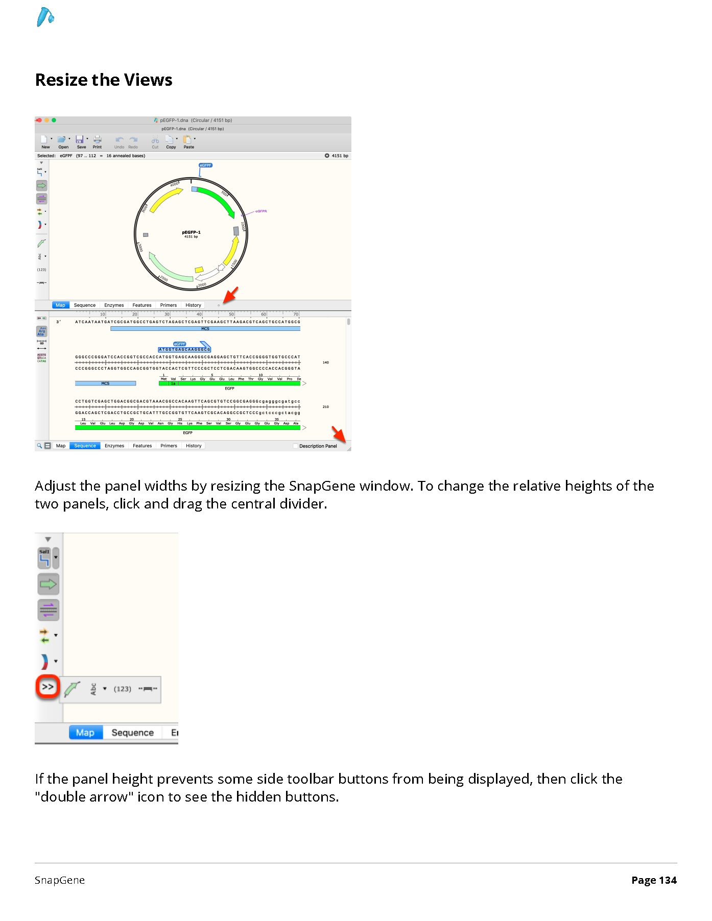 ../_images/SnapGene_页面_134.png