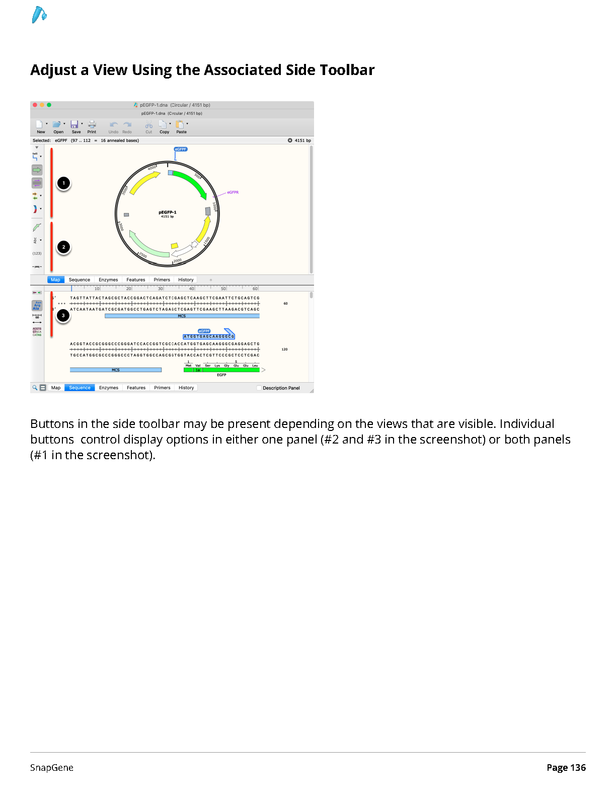 ../_images/SnapGene_页面_136.png
