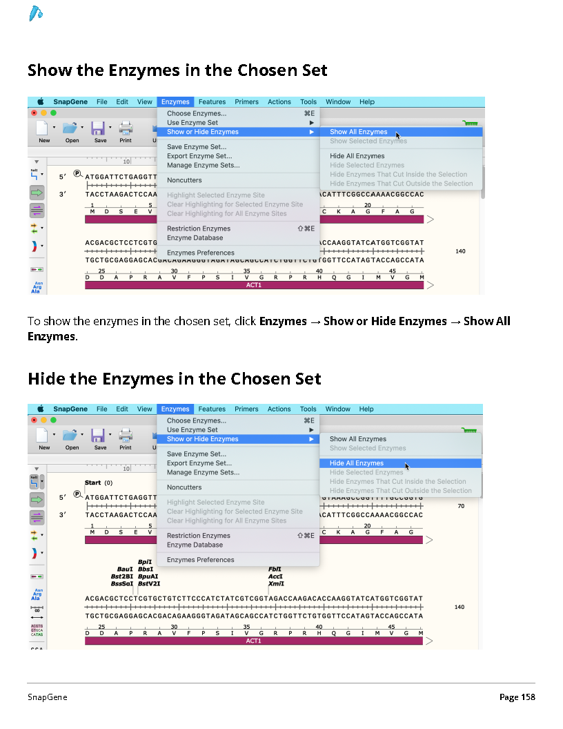 ../_images/SnapGene_页面_158.png