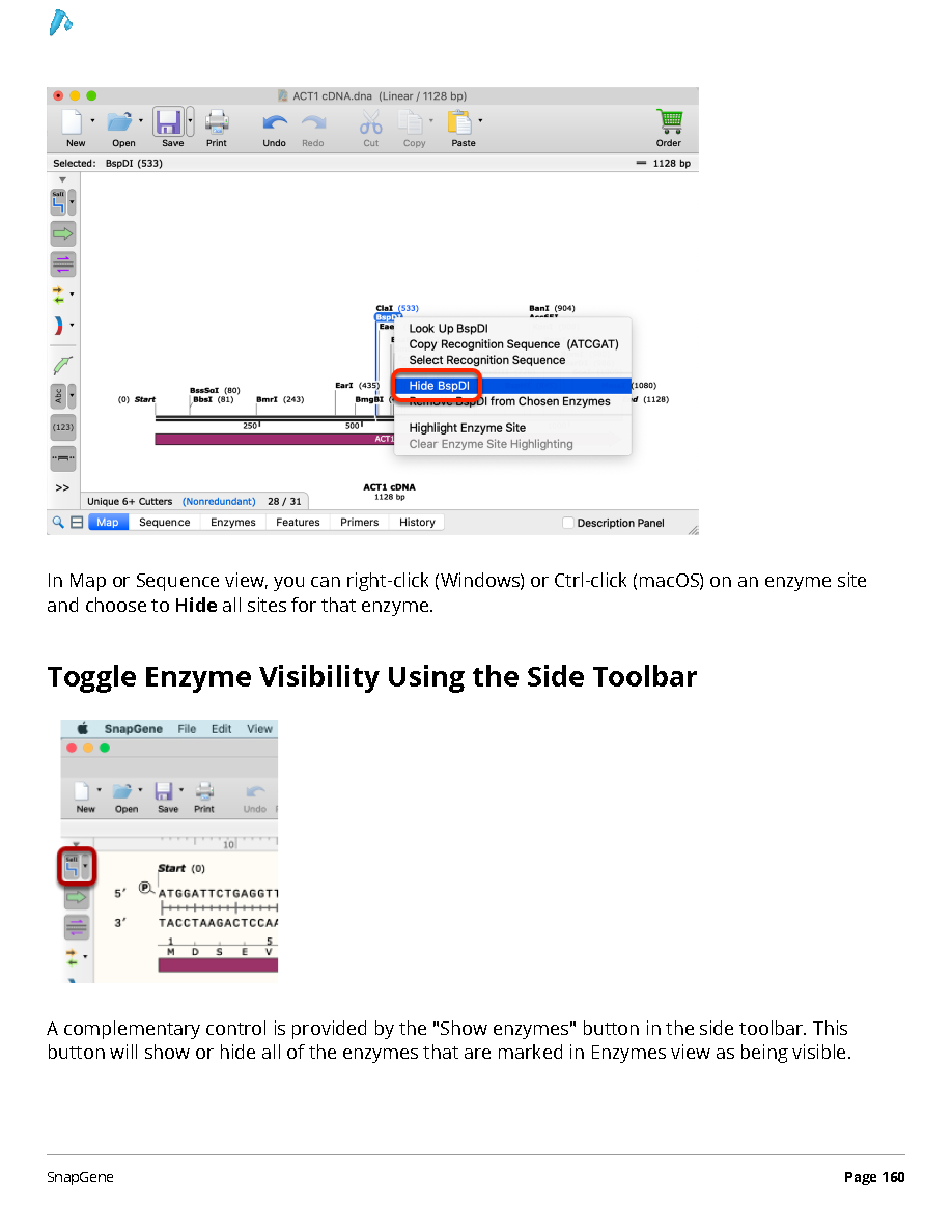 ../_images/SnapGene_页面_160.png