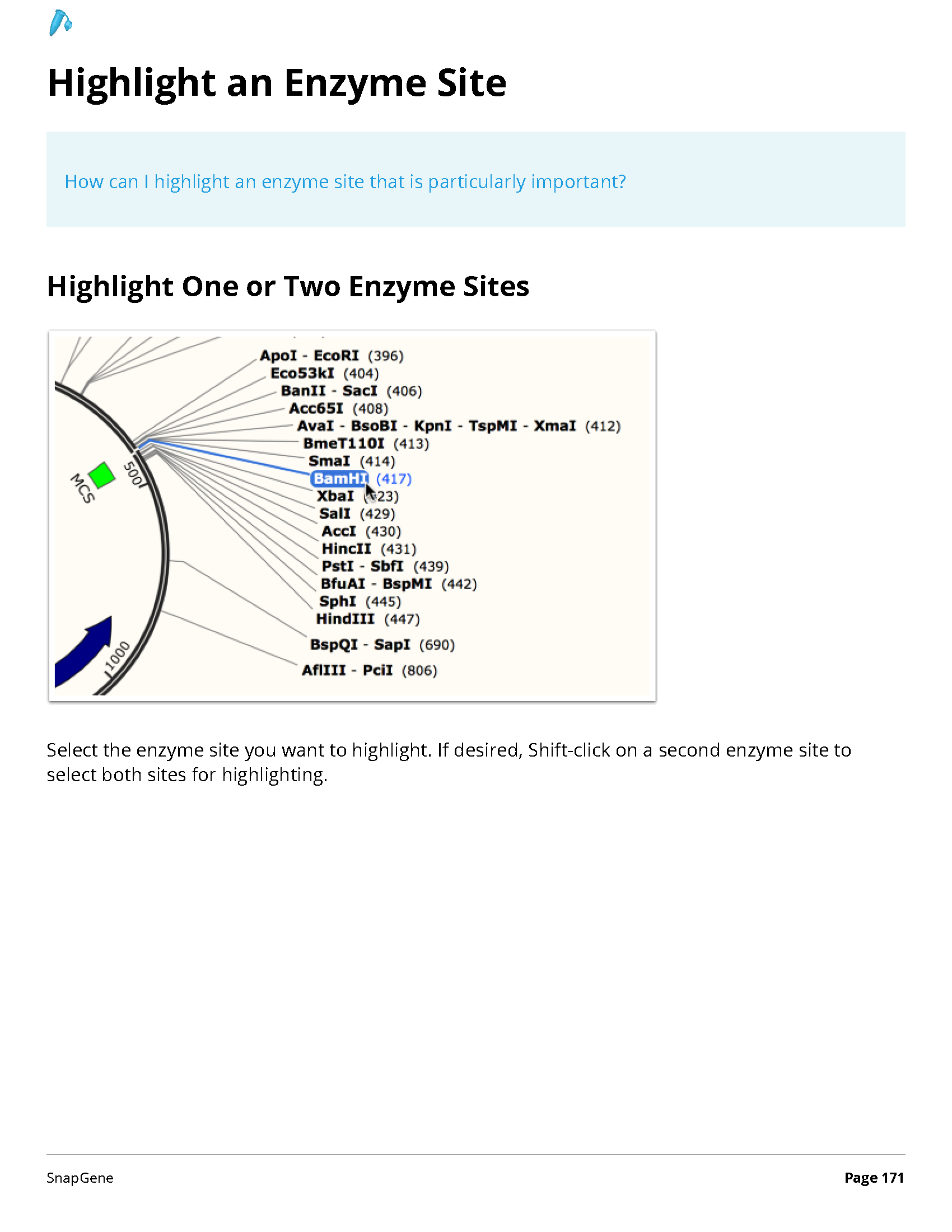 ../_images/SnapGene_页面_171.png