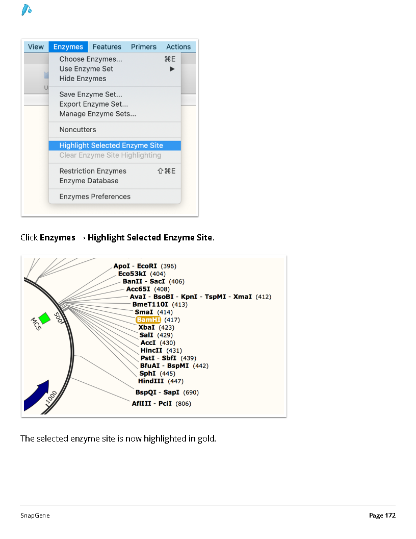 ../_images/SnapGene_页面_172.png