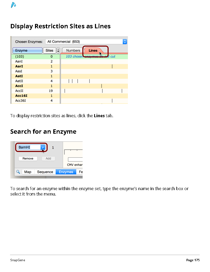 ../_images/SnapGene_页面_175.png