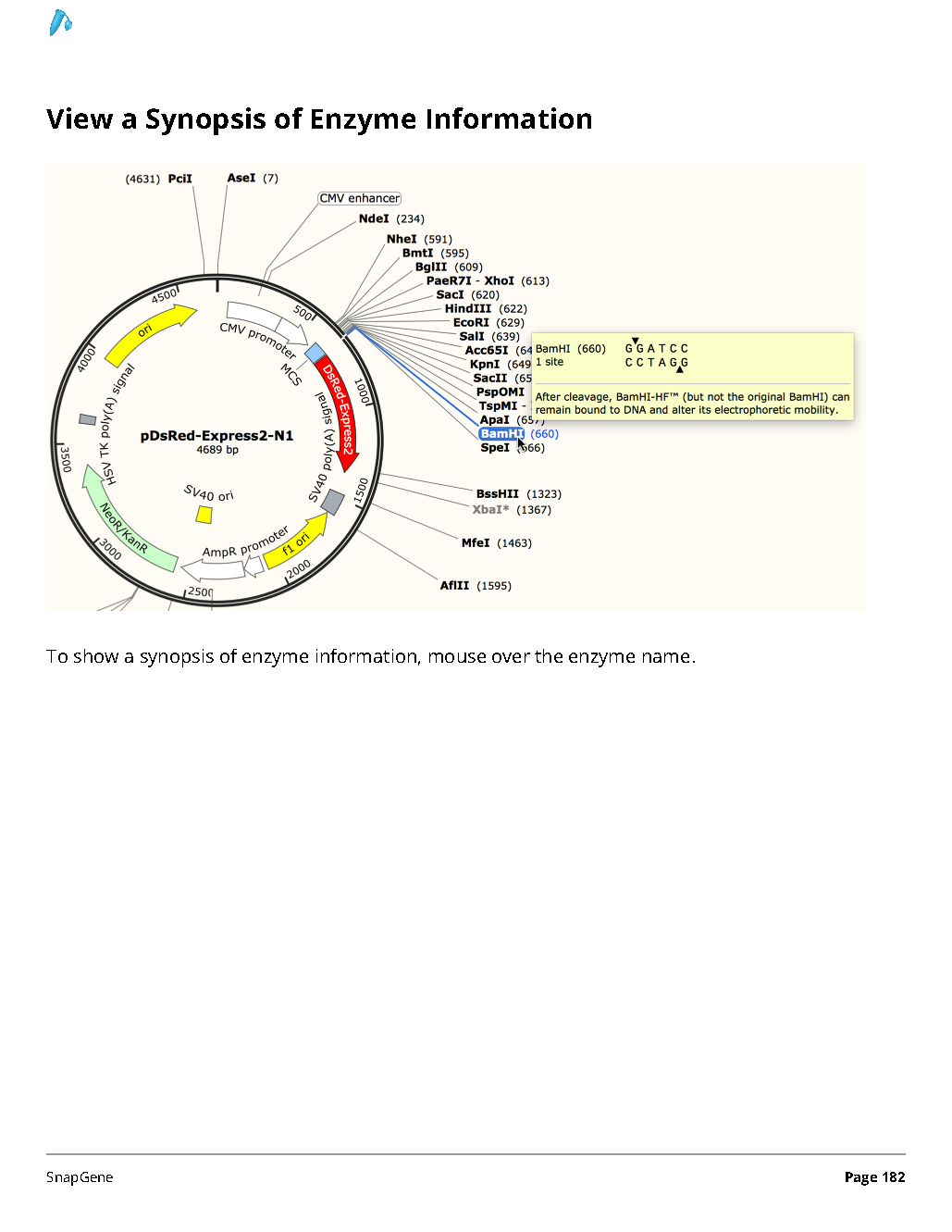 ../_images/SnapGene_页面_182.png