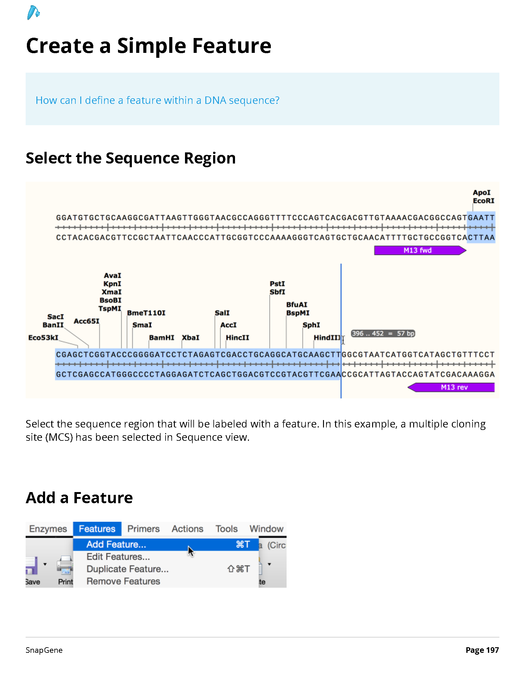 ../_images/SnapGene_页面_197.png
