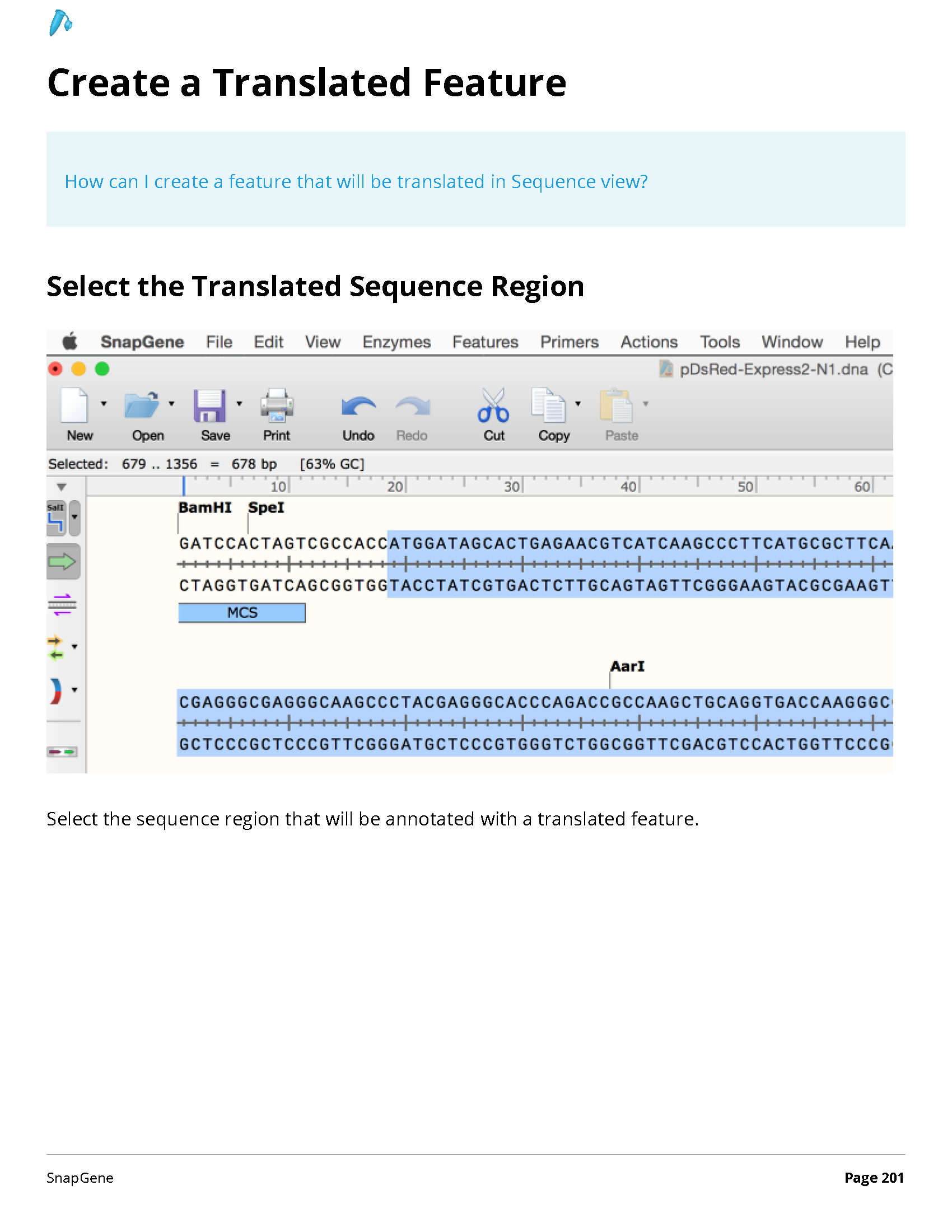 ../_images/SnapGene_页面_201.png