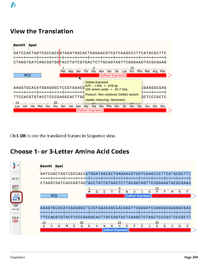 ../_images/SnapGene_页面_204.png