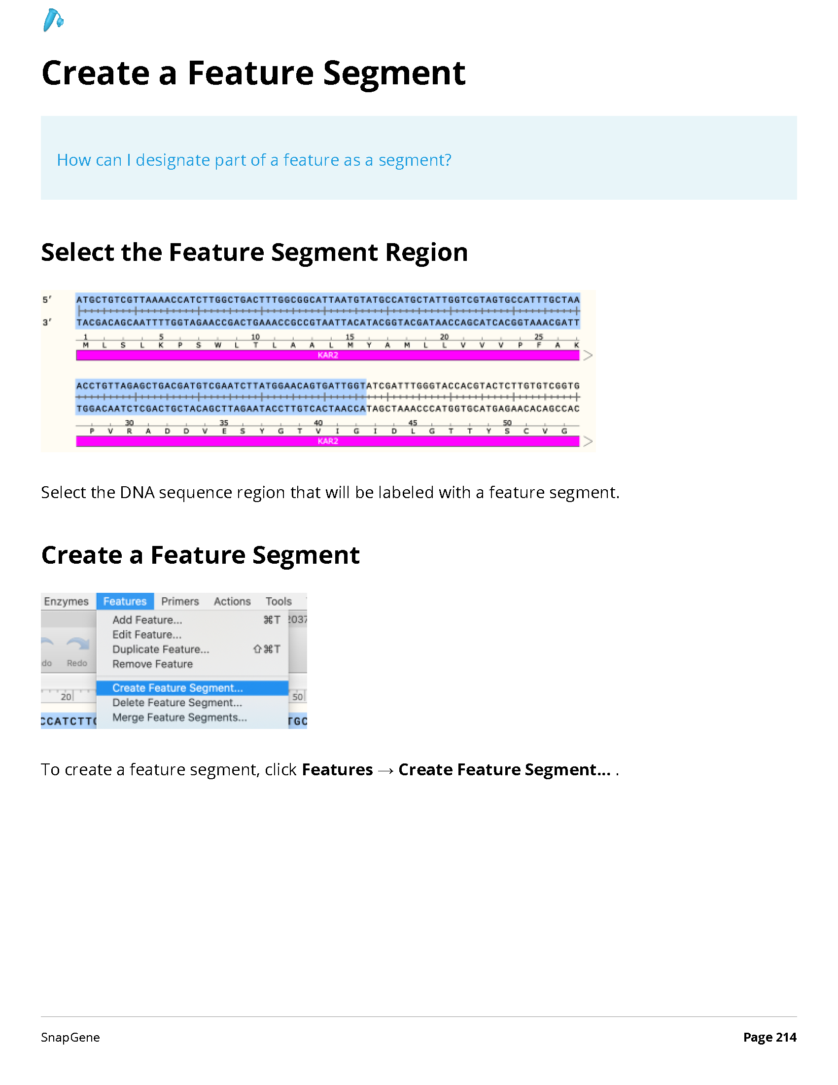 ../_images/SnapGene_页面_214.png