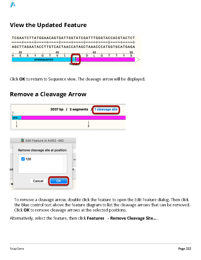 ../_images/SnapGene_页面_222.png