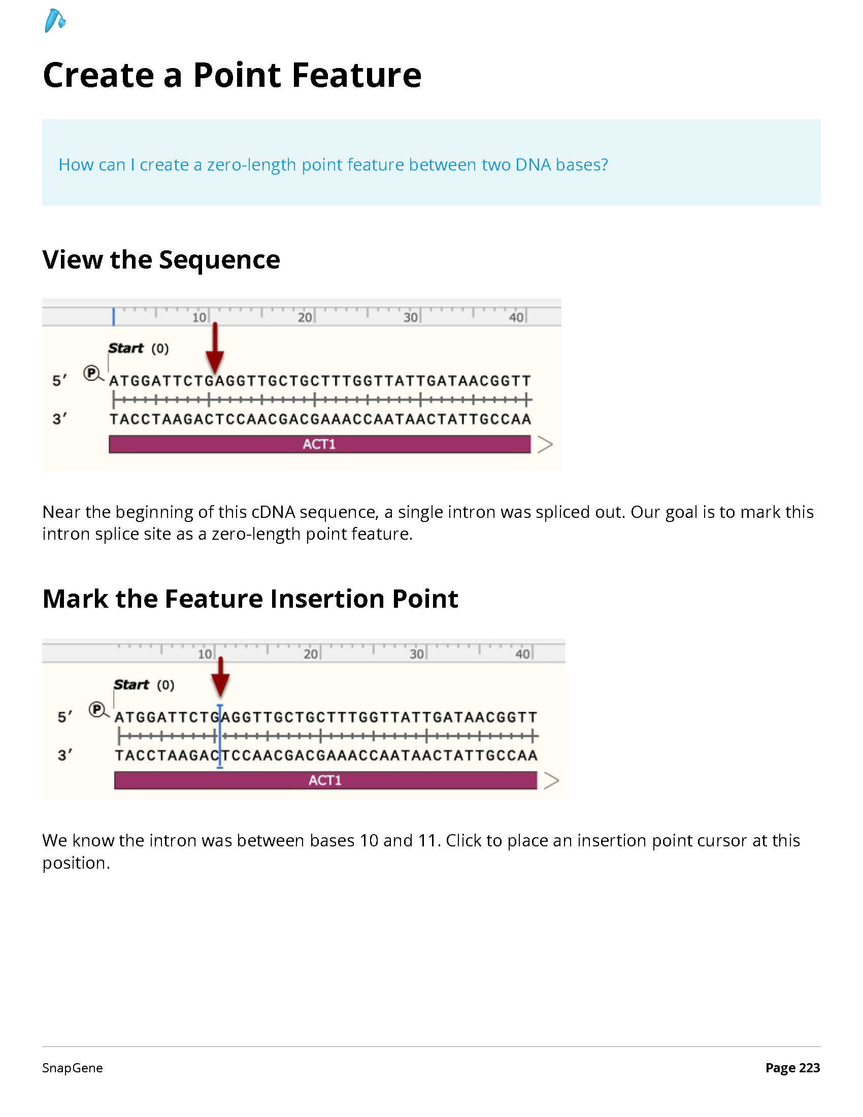 ../_images/SnapGene_页面_223.png