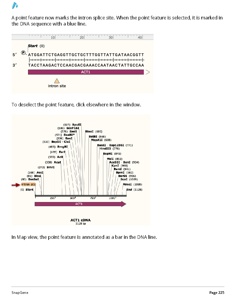../_images/SnapGene_页面_225.png