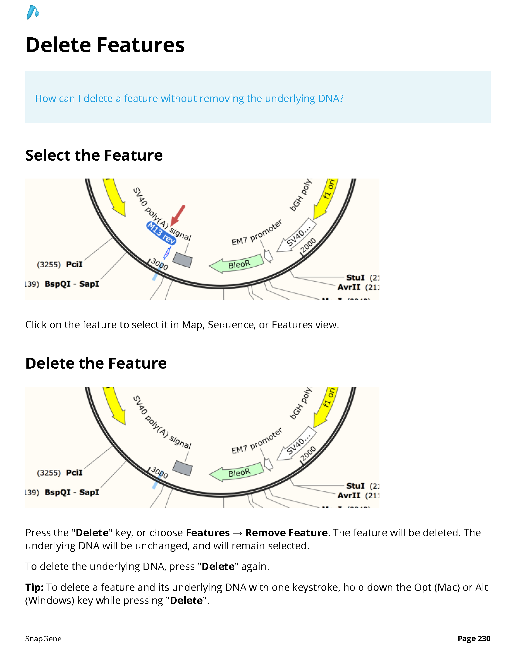 ../_images/SnapGene_页面_230.png