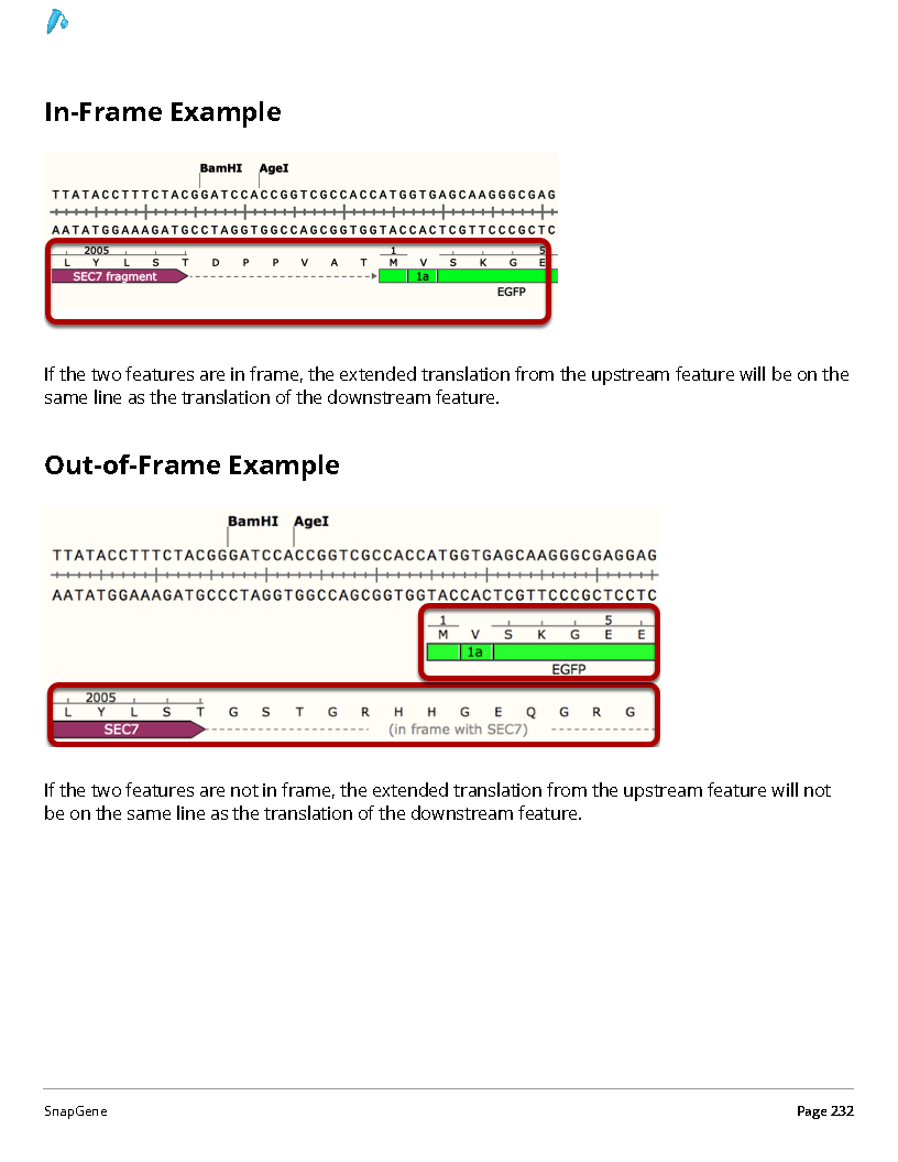 ../_images/SnapGene_页面_232.png