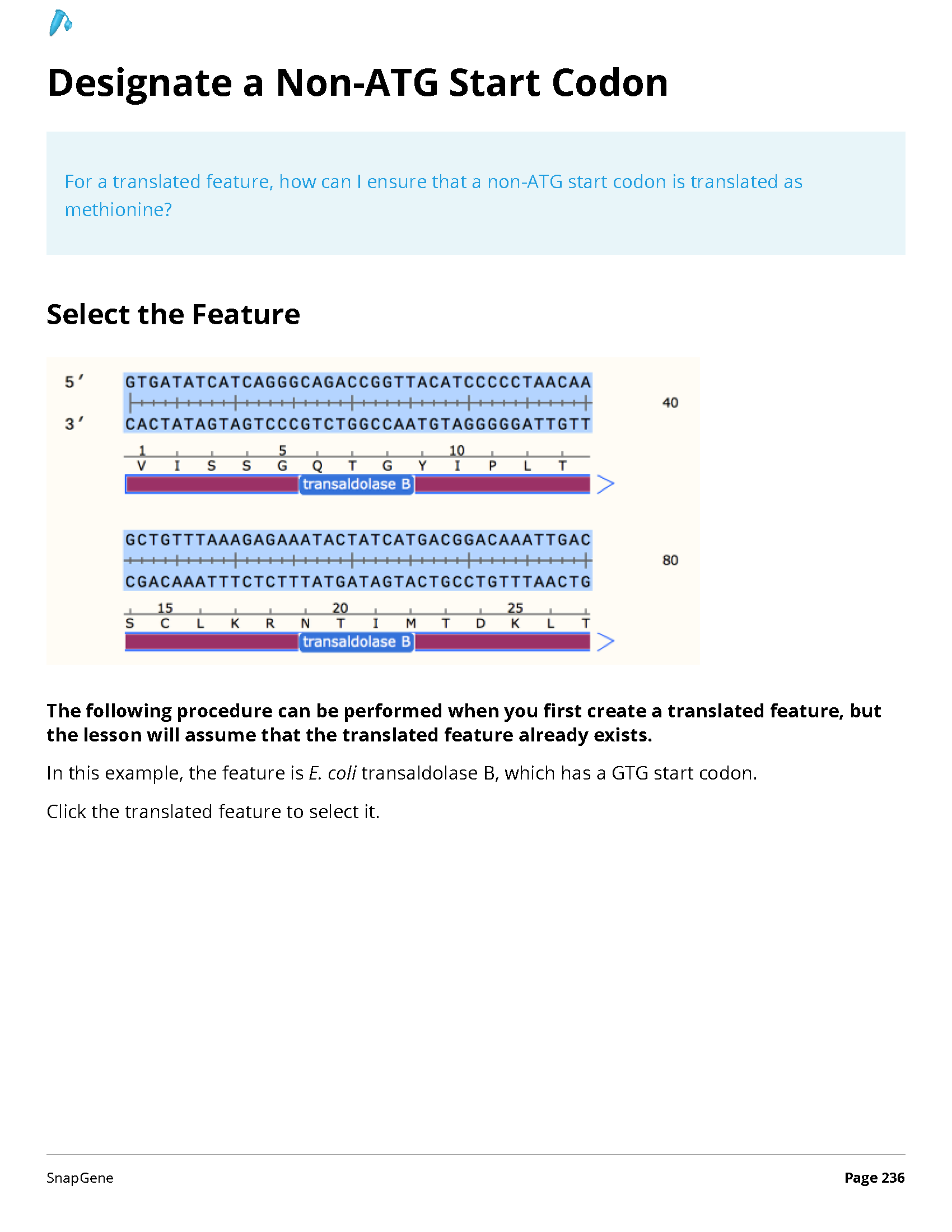 ../_images/SnapGene_页面_236.png