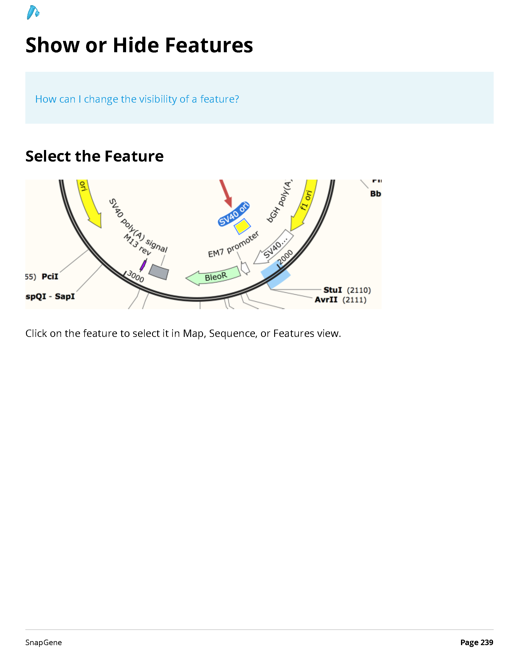../_images/SnapGene_页面_239.png