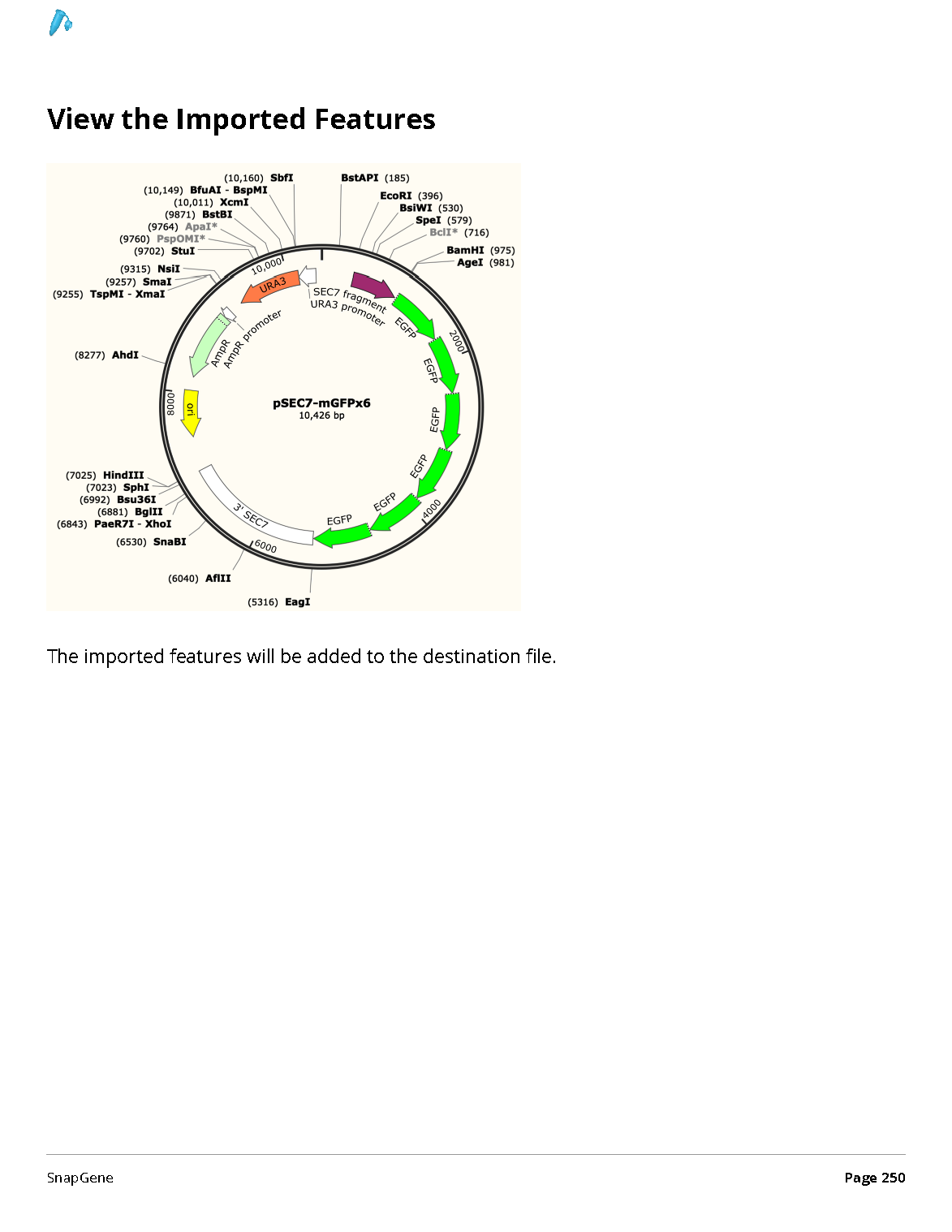 ../_images/SnapGene_页面_250.png