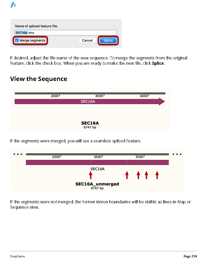 ../_images/SnapGene_页面_254.png