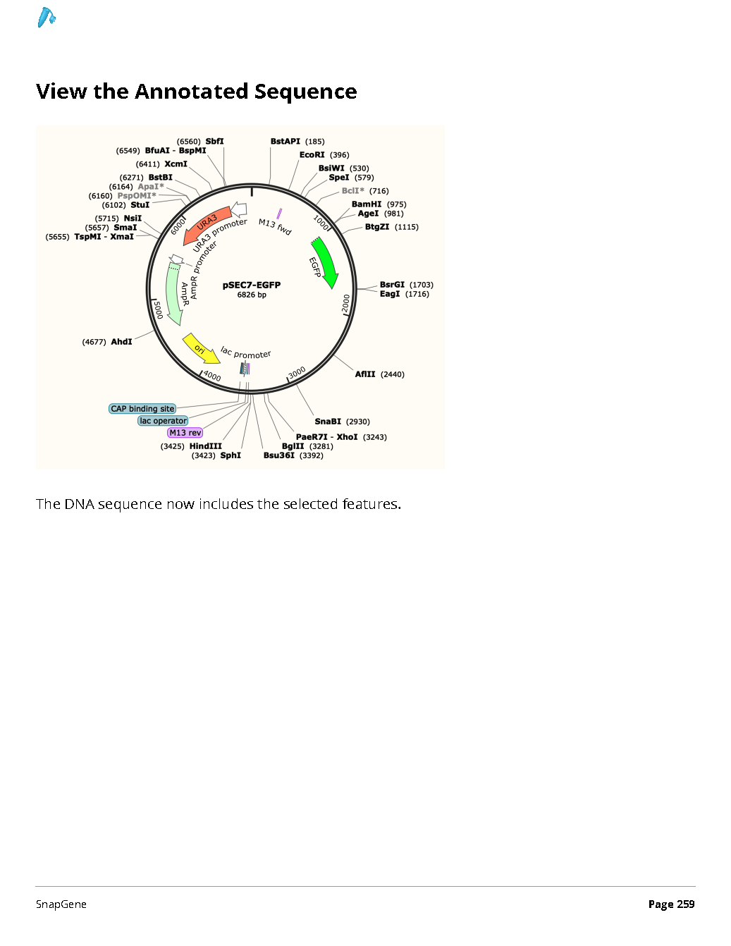 ../_images/SnapGene_页面_259.png