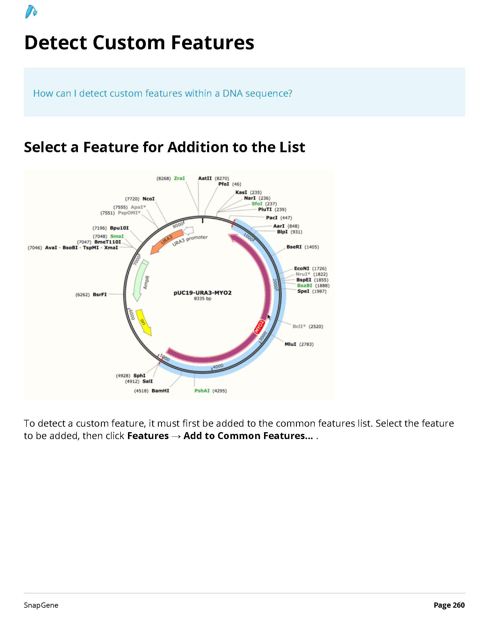 ../_images/SnapGene_页面_260.png