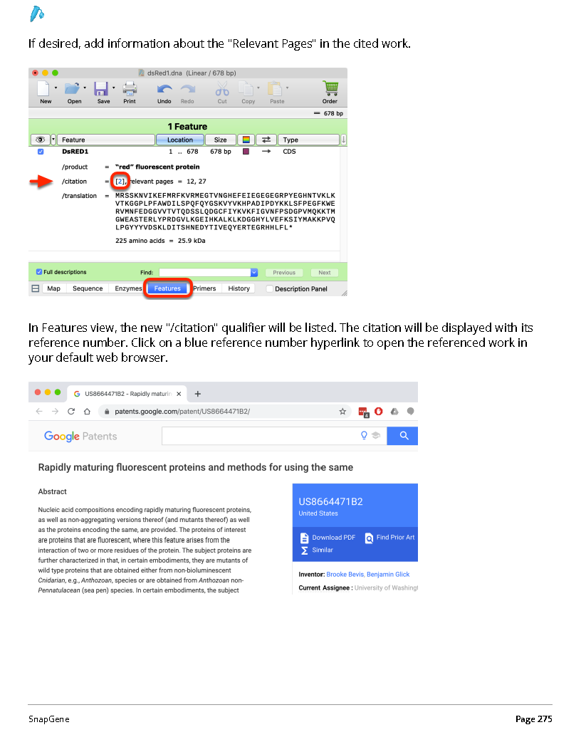 ../_images/SnapGene_页面_275.png