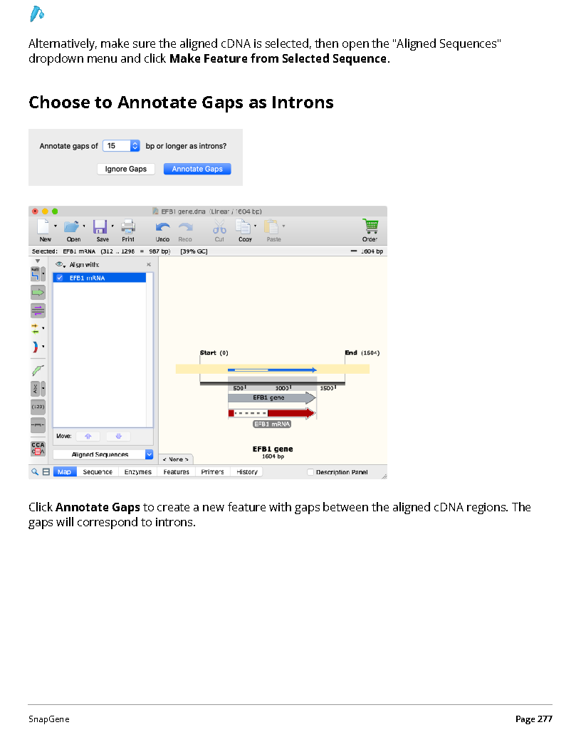 ../_images/SnapGene_页面_277.png
