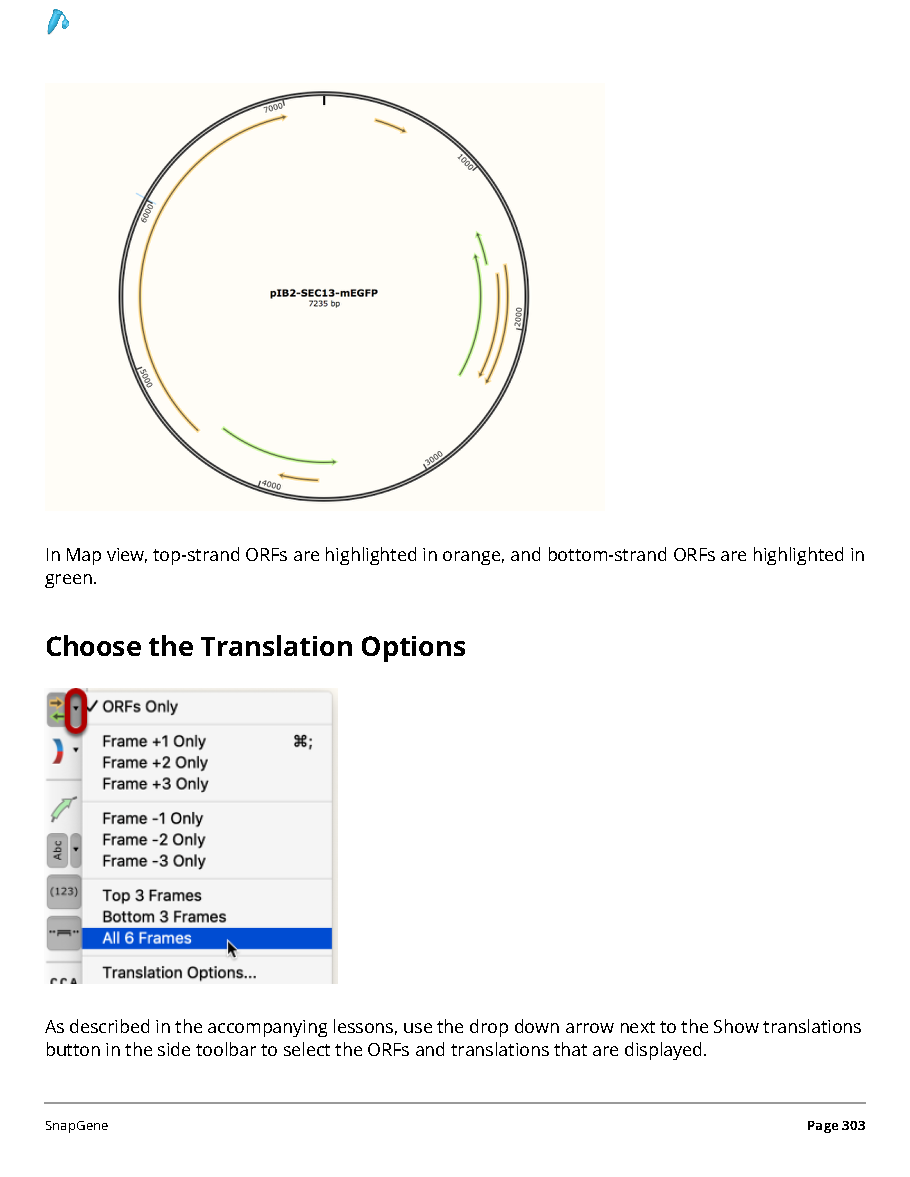 ../_images/SnapGene_页面_303.png