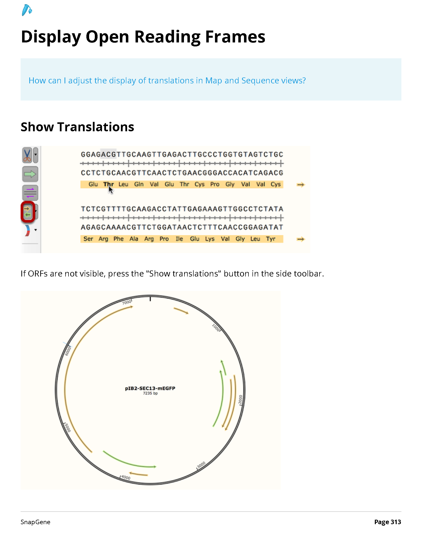 ../_images/SnapGene_页面_313.png