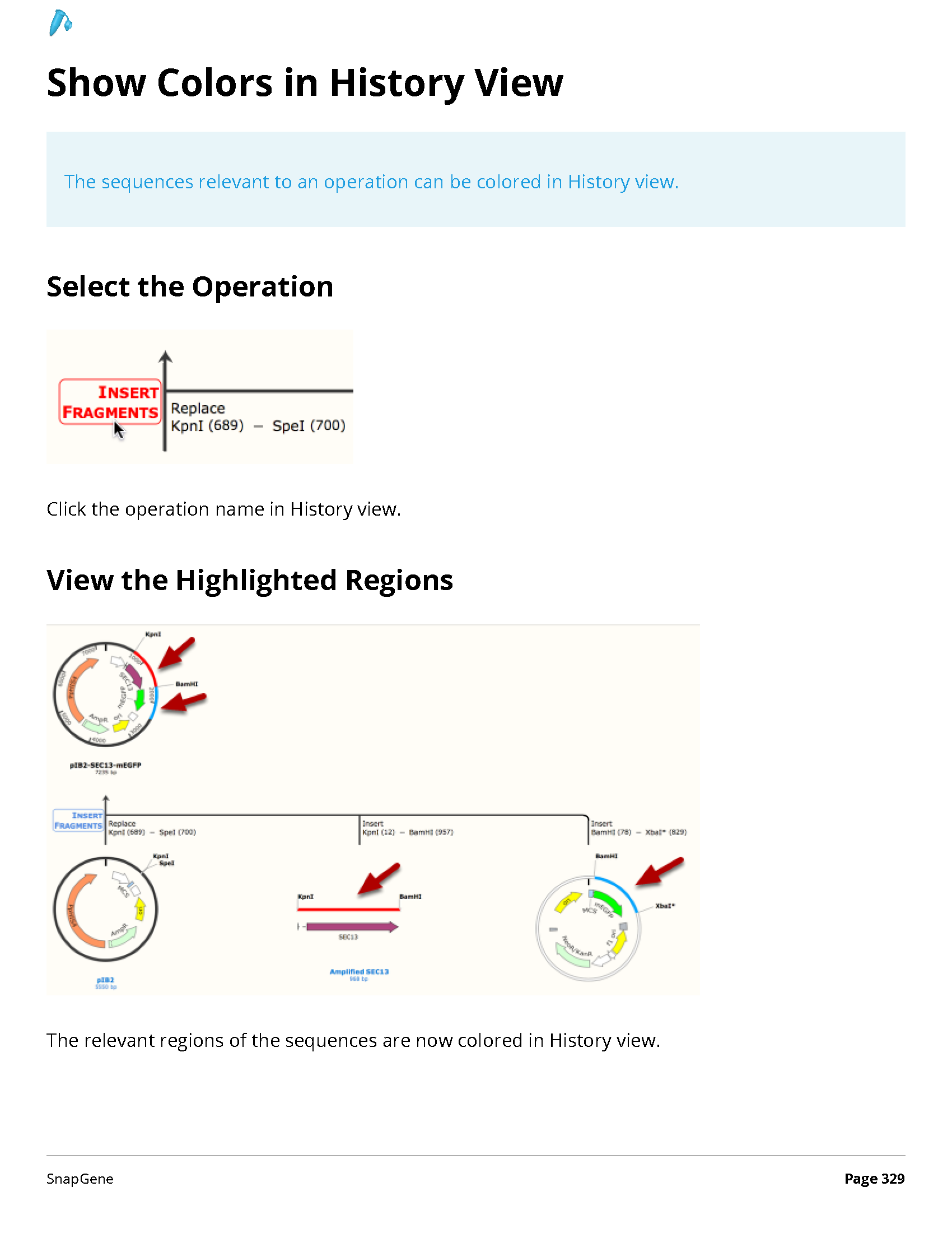 ../_images/SnapGene_页面_329.png