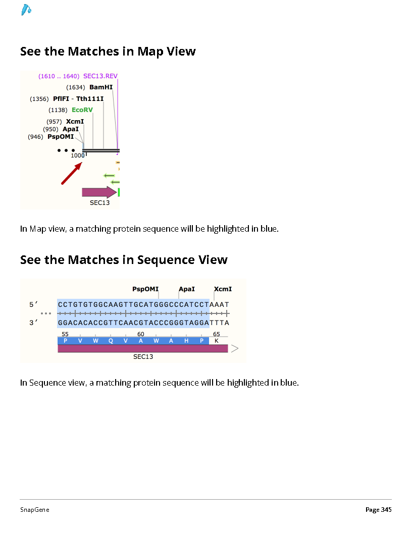 ../_images/SnapGene_页面_345.png