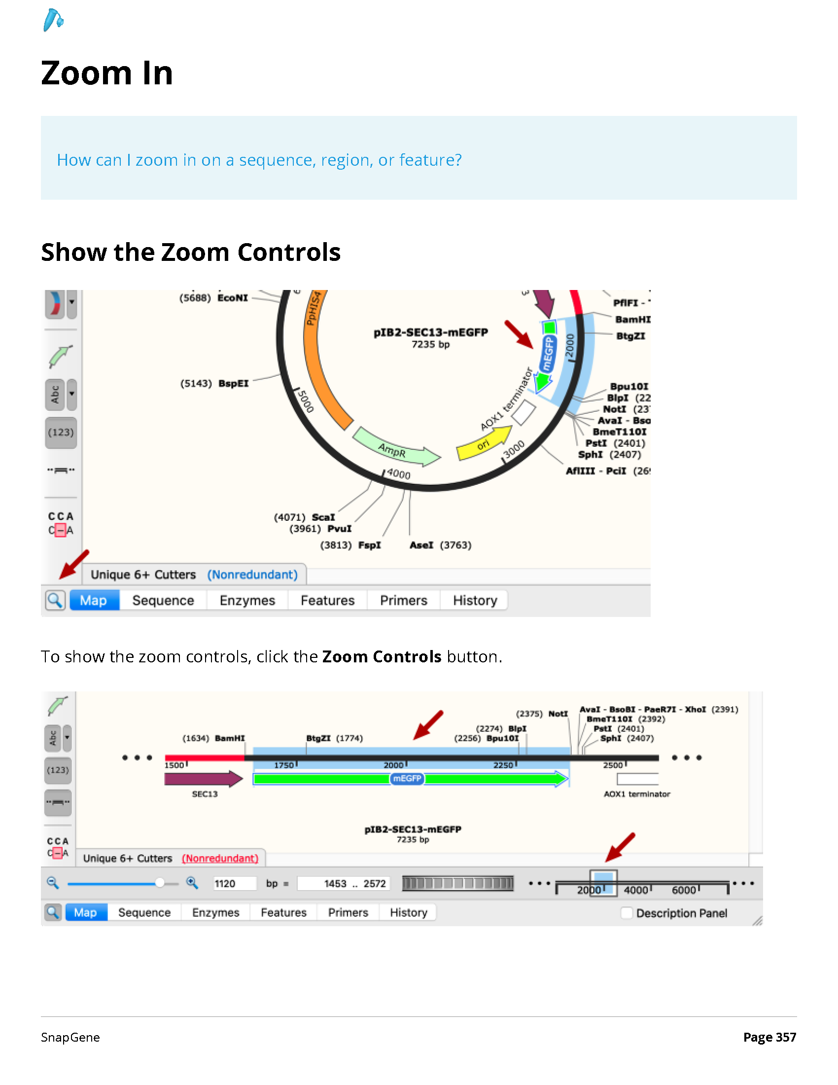 ../_images/SnapGene_页面_357.png