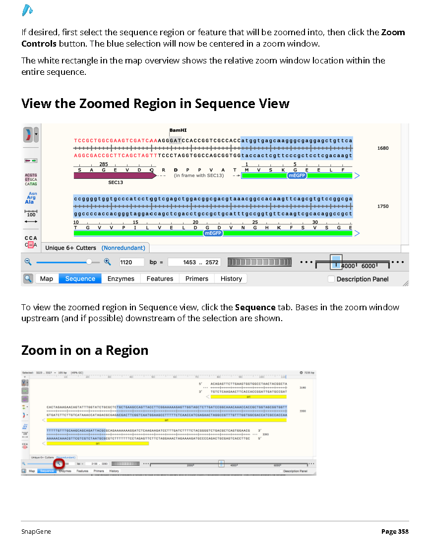 ../_images/SnapGene_页面_358.png