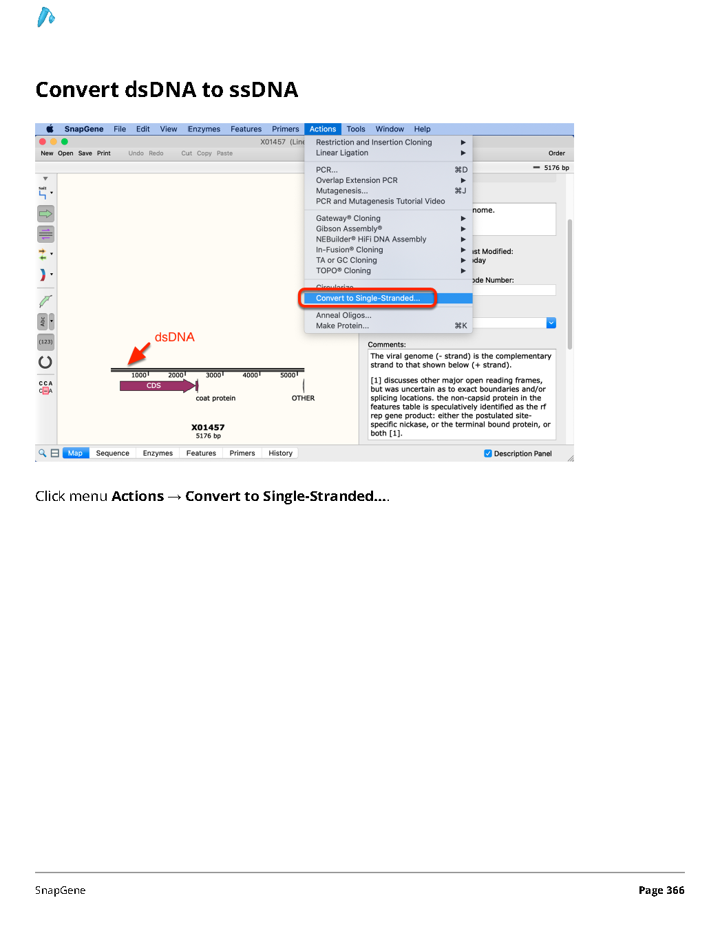 ../_images/SnapGene_页面_366.png