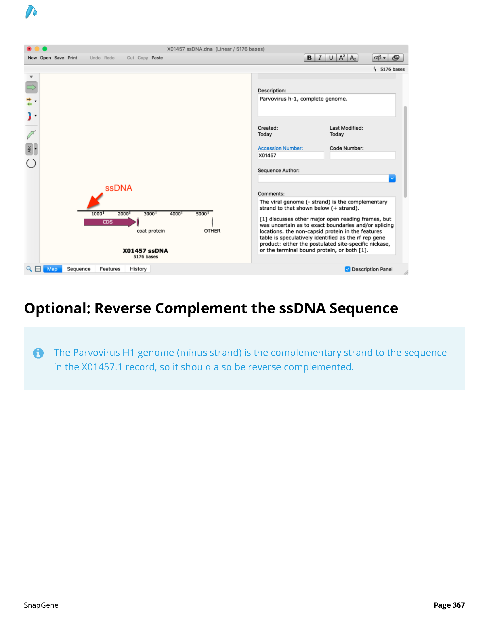 ../_images/SnapGene_页面_367.png
