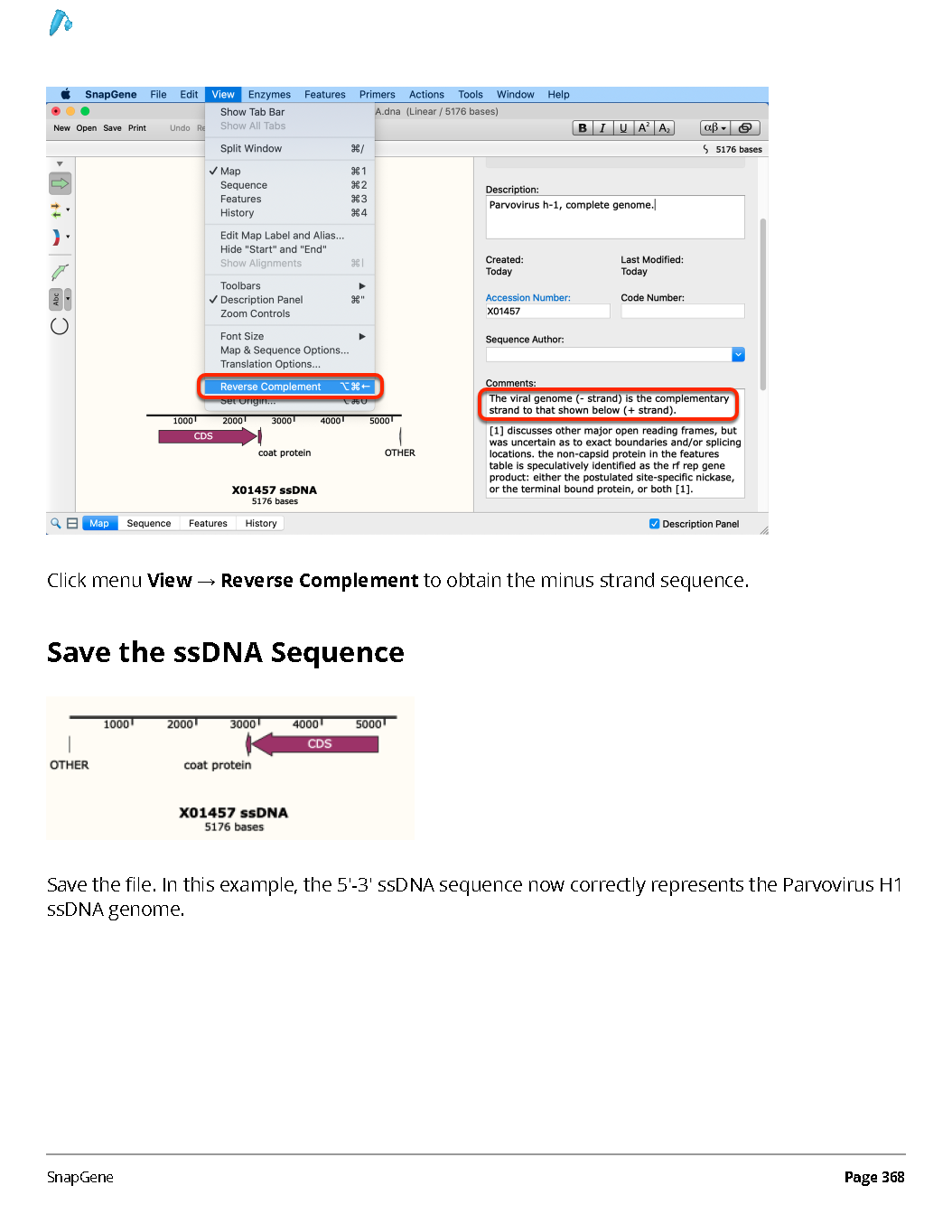 ../_images/SnapGene_页面_368.png