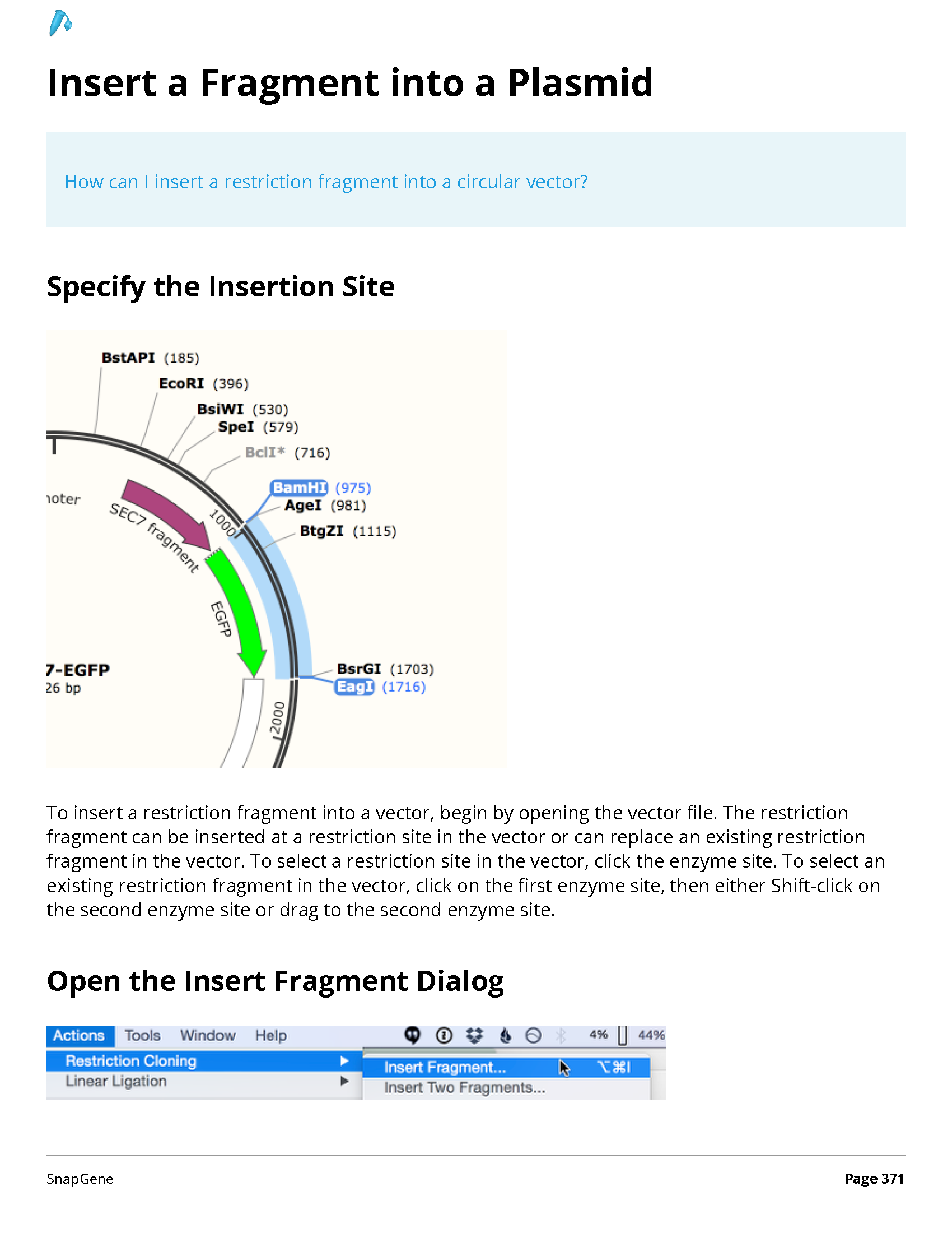 ../_images/SnapGene_页面_371.png