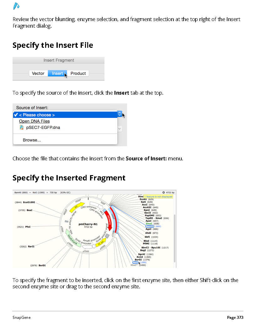 ../_images/SnapGene_页面_373.png