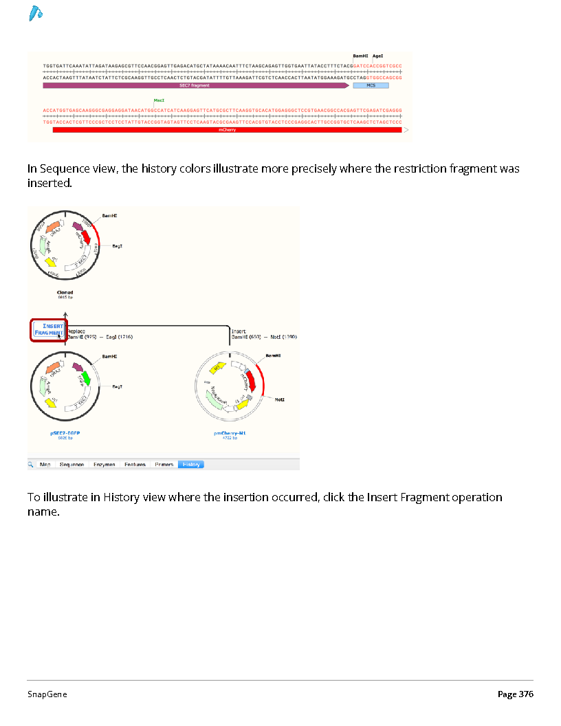 ../_images/SnapGene_页面_376.png