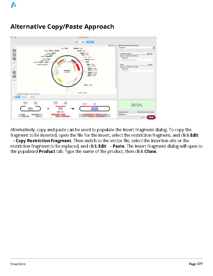 ../_images/SnapGene_页面_377.png