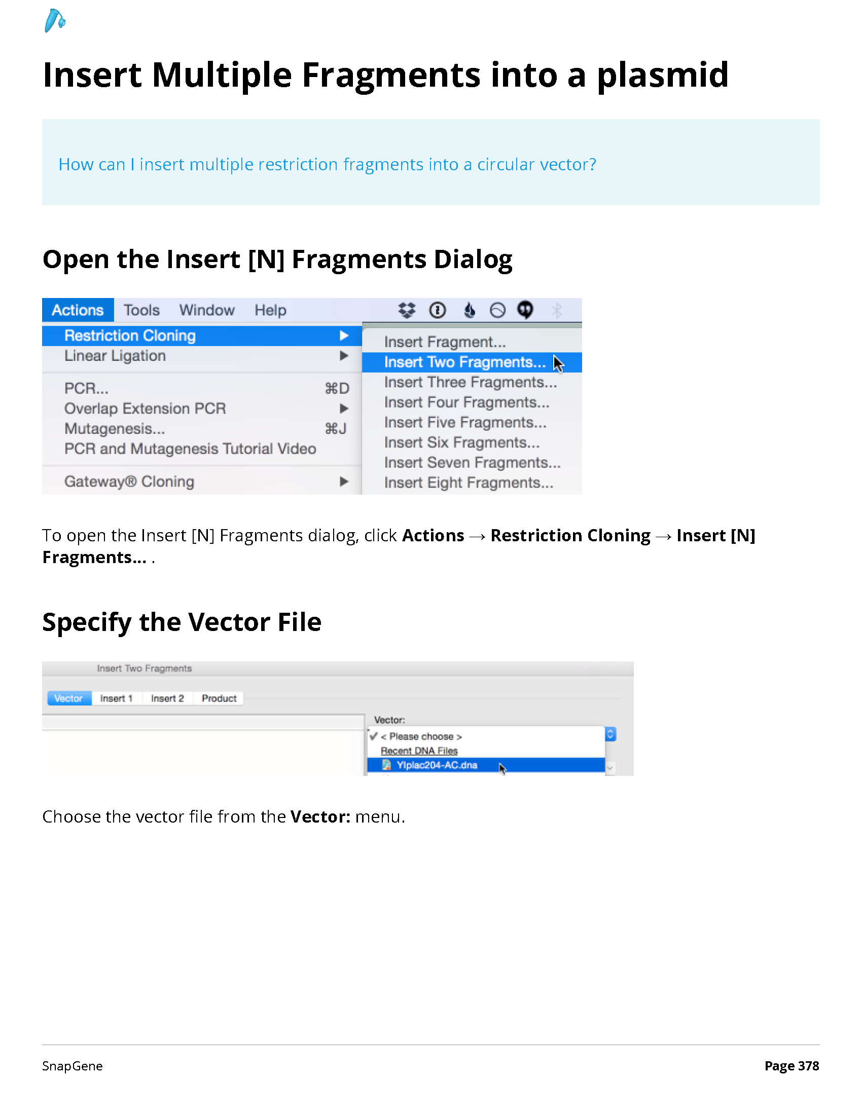 ../_images/SnapGene_页面_378.png