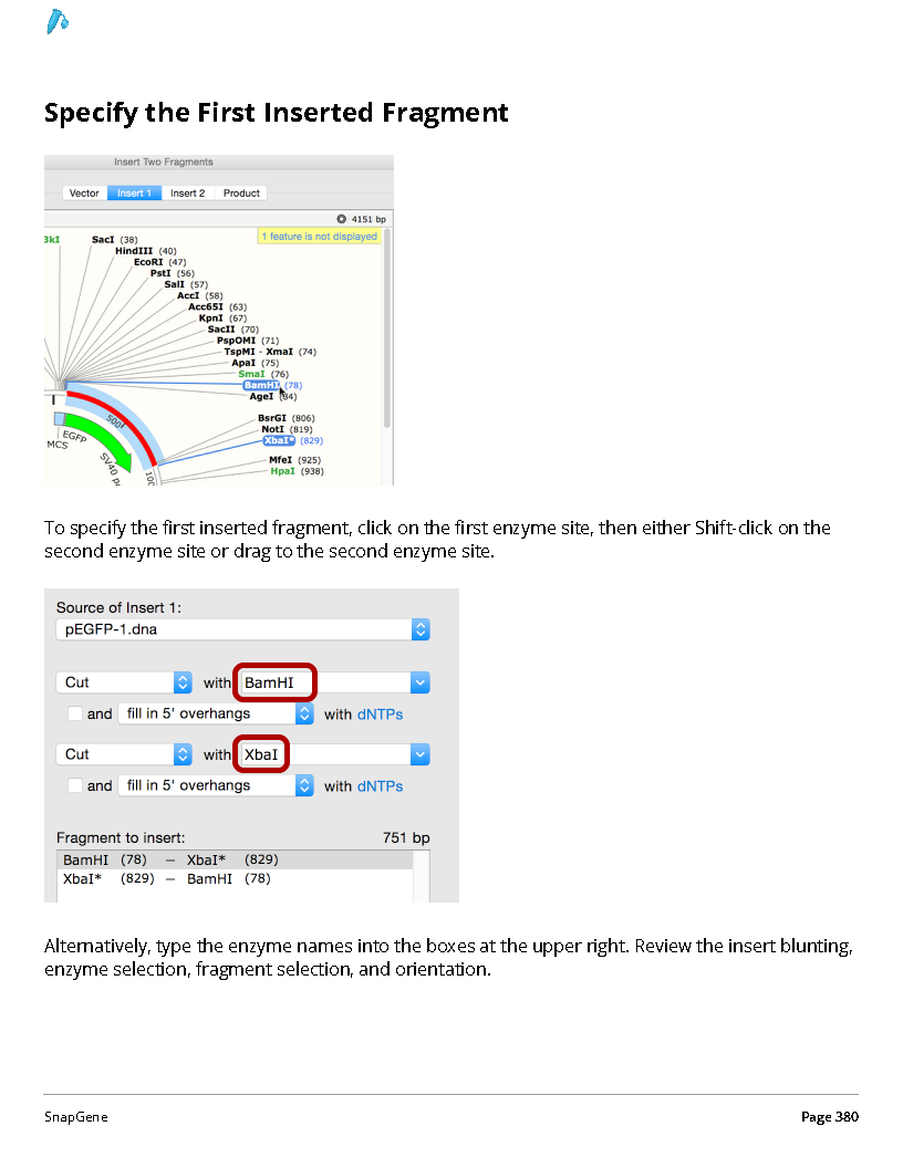 ../_images/SnapGene_页面_380.png